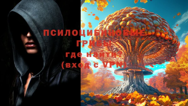 соль курить ск Дмитриев