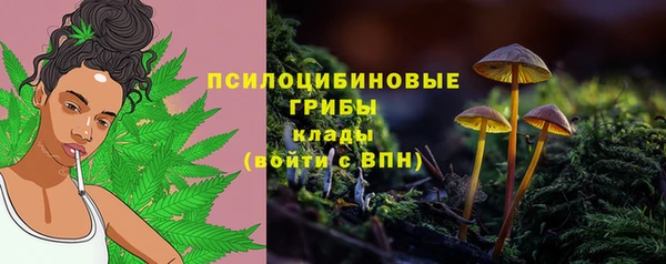 соль курить ск Дмитриев